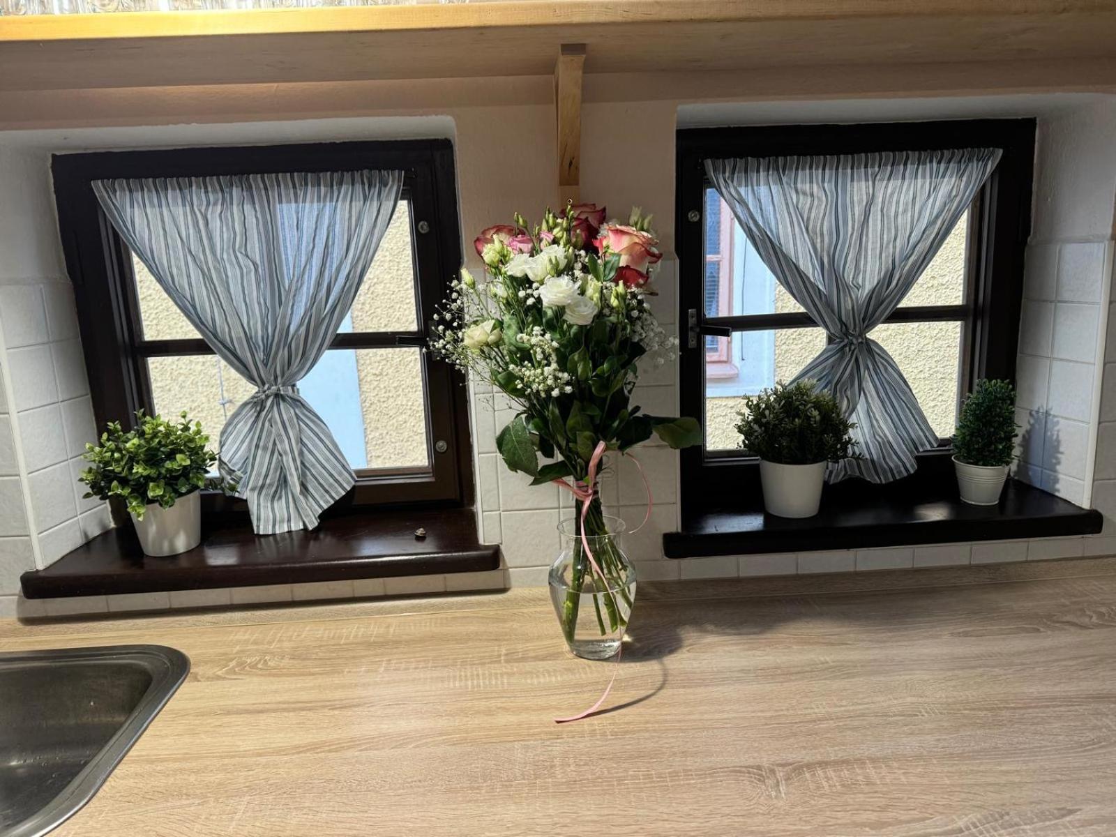 Apartman U Zamku Jindřichŭv Hradec Esterno foto